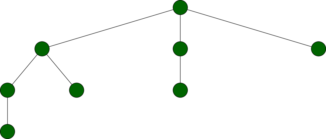 The binomial tree of rank 3